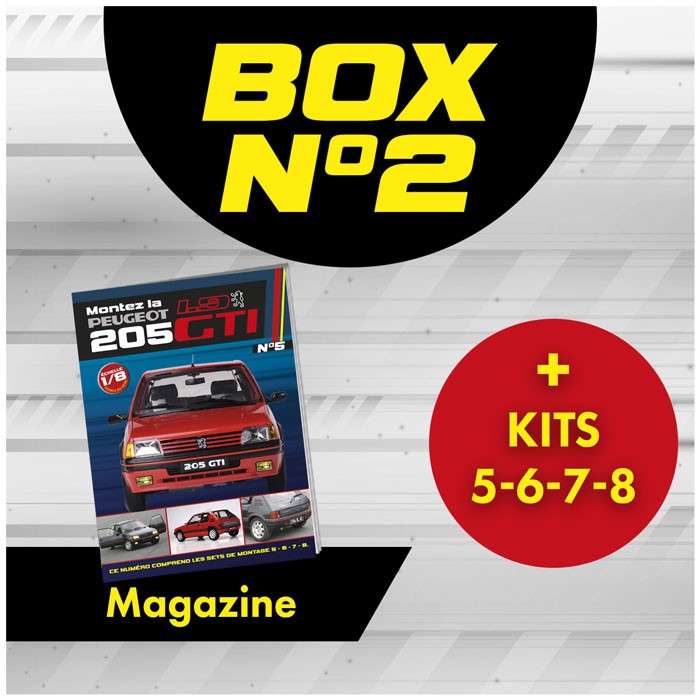 Peugeot 205 GTi BOX 2