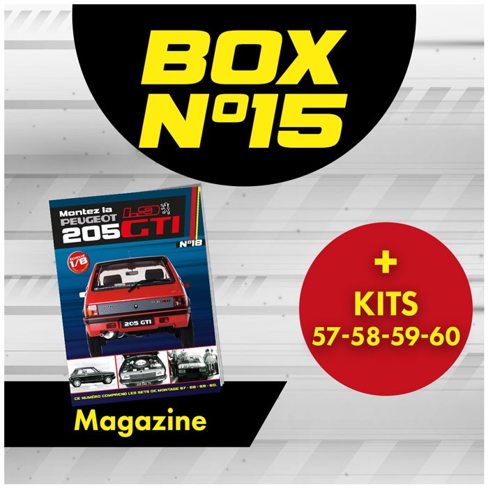 Peugeot 205 GTi BOX 15