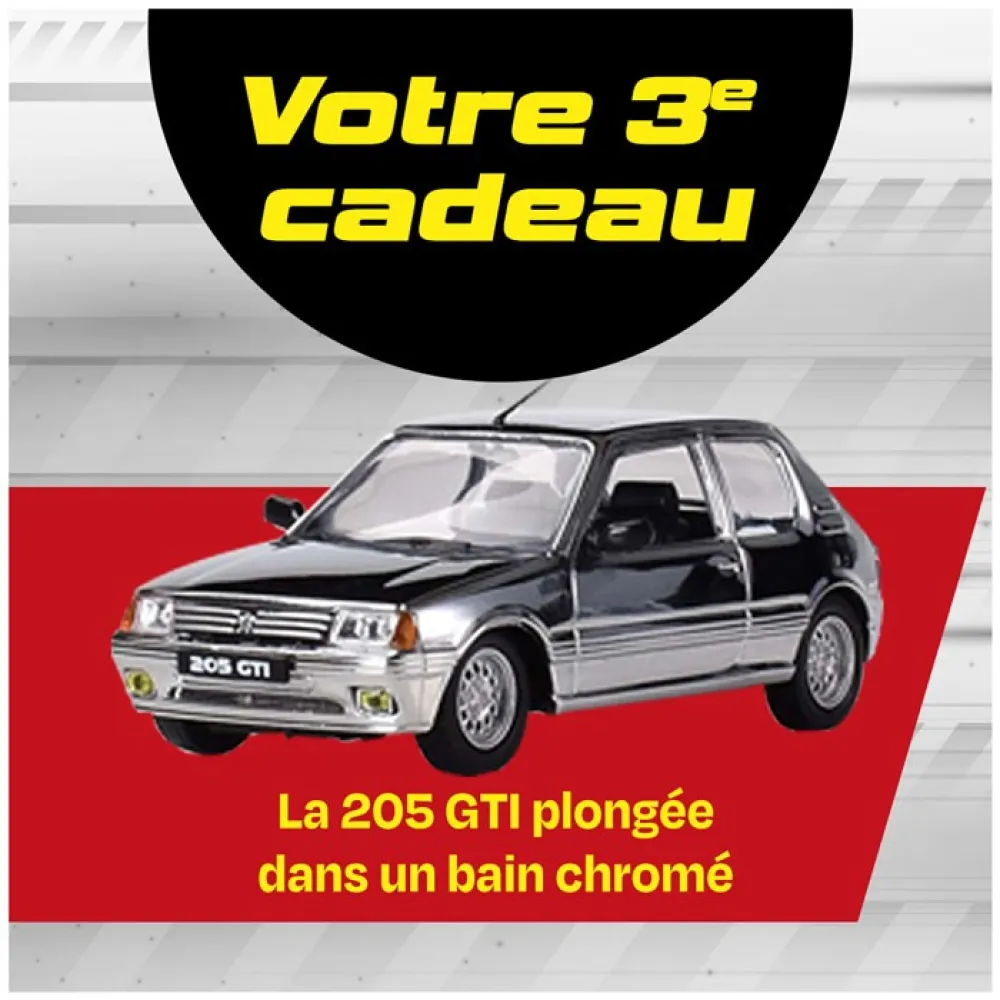 Peugeot 205 GTi BOX 10