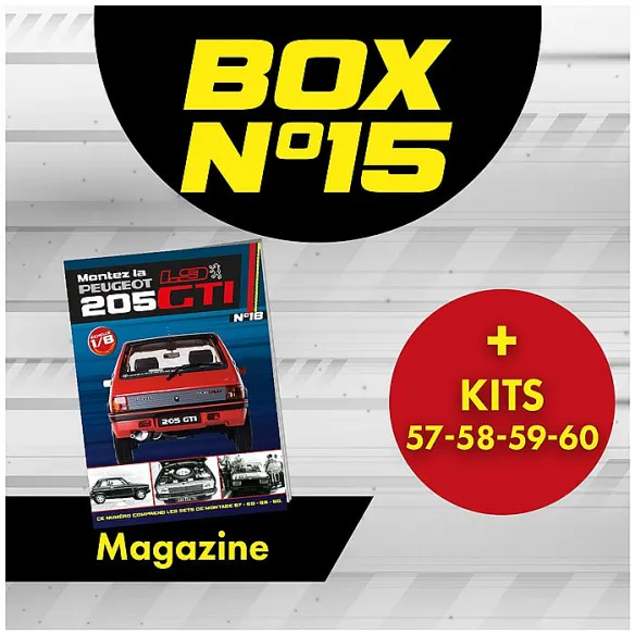 Peugeot 205 GTi BOX 15