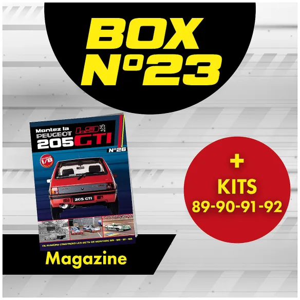 copy of Peugeot 205 GTI