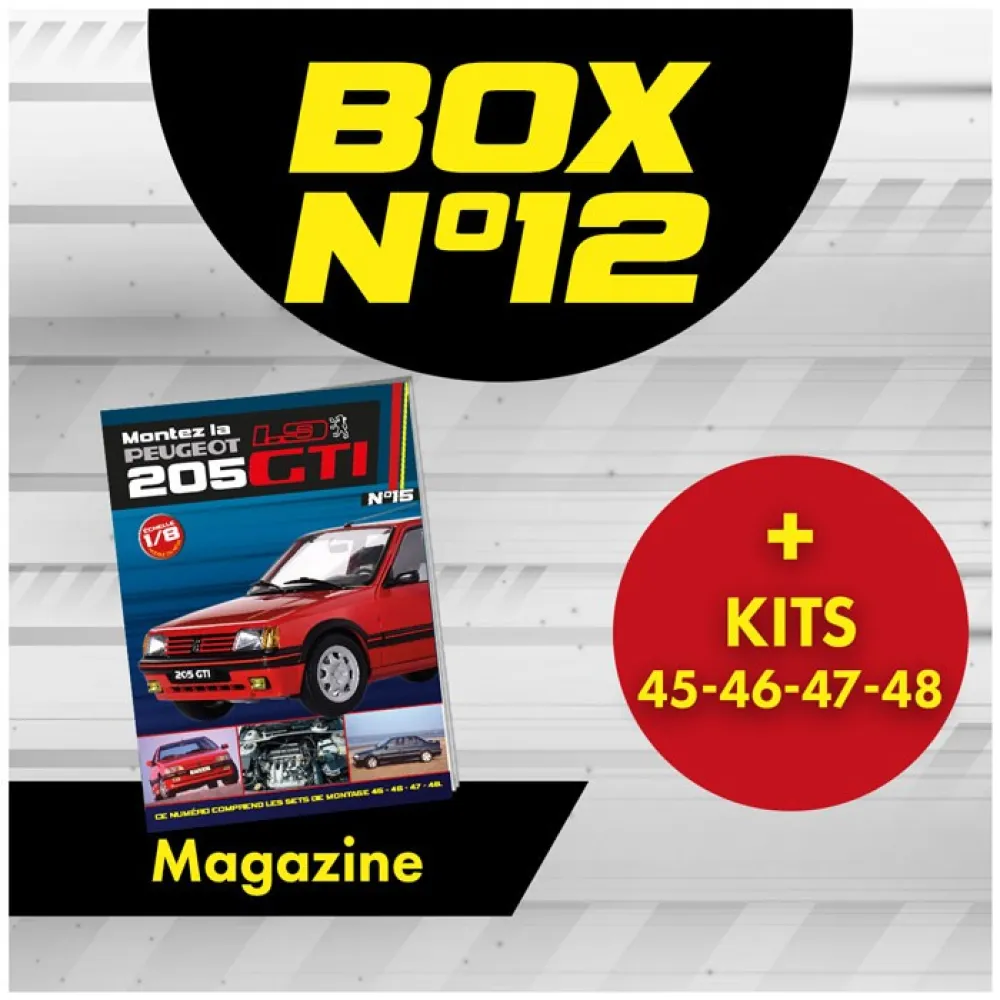 Peugeot 205 GTi BOX 12