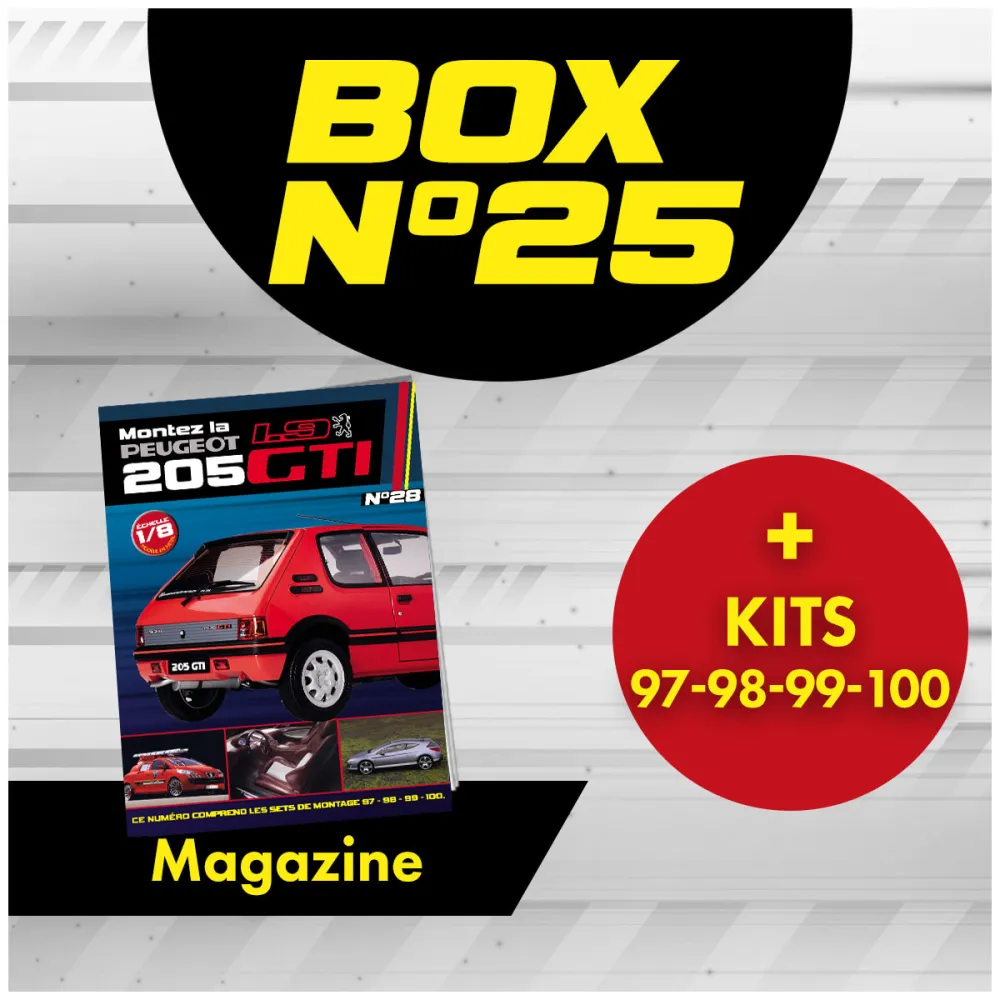 Peugeot 205 GTi BOX 25