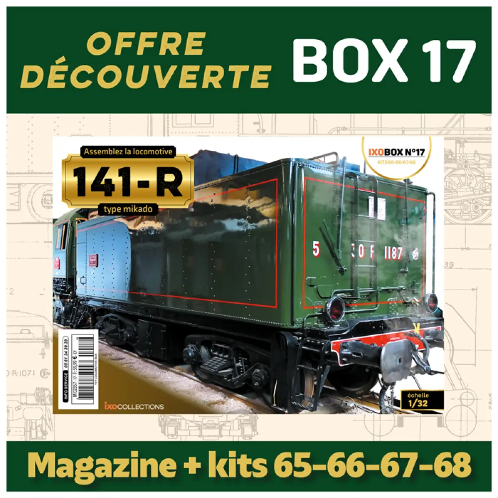 Mikado-decouverte-17.jpg