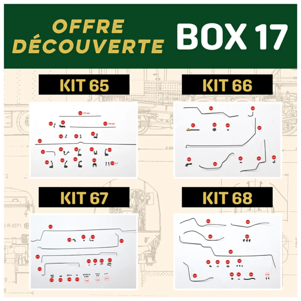 Mikado-decouverte-173.jpg