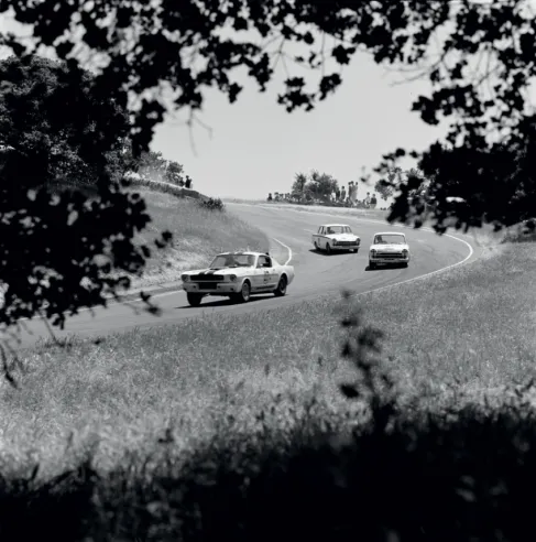 Ein Shelby GT350 beim Rennen in Laguna Seca, das dritte Rennen der SCCA USRRC GT-Meisterschaft 1965, gefolgt von zwei Ford Cortina Lotuses.© IXO Collections SAS - Tous droits réservés.